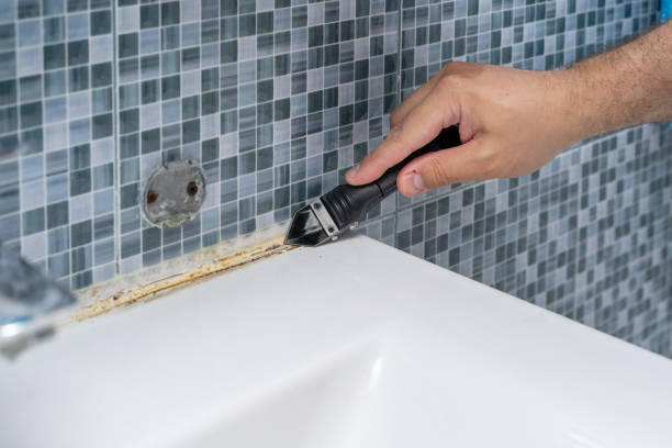 Best Fast Mold Removal  in De Leon Springs, FL